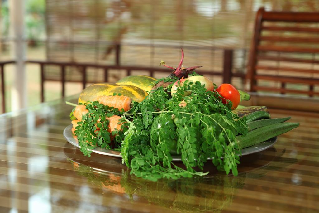 The Health Village Alwaye Eksteriør bilde